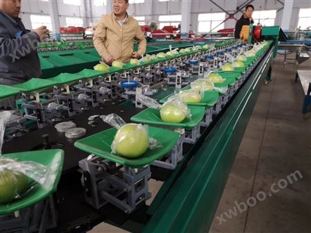 云南苹果枣分大小的设备  青枣选果机