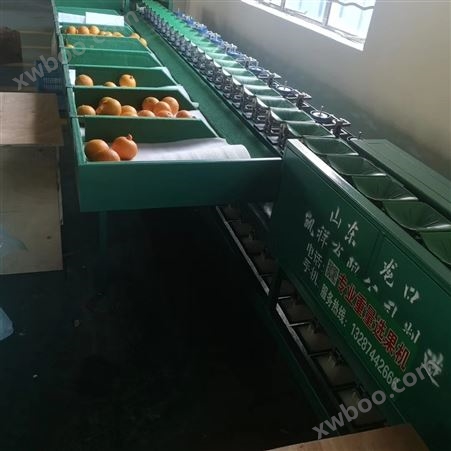 柑橘选果机 四川水果分大小的设备