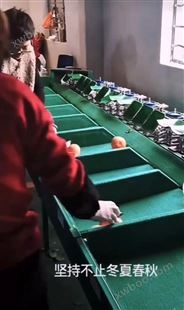 象山红美人分级设备  柑橘分选机 选果机