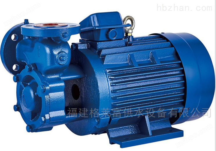 W型漩涡泵锅炉增压循环加压泵 螺旋泵
