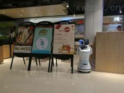 送餐機器人迎賓機器人三寶機器人招商加盟南京潤訊思機器人科技有限公司供應三寶商用服務機器人廠家