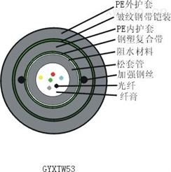 标准中心束管式加强铠光缆(GYXTW53)