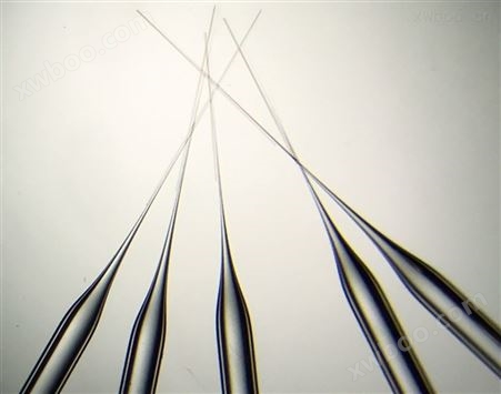 美国玻璃管微电极玻璃毛细管显微注射玻璃针