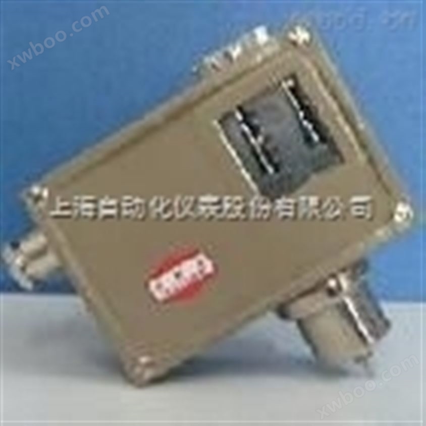 D540/7T、D541/7TD540/7T、D541/7T温度控制器/防爆温度控制器