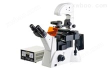 倒置荧光显微镜 JC-DZ-04