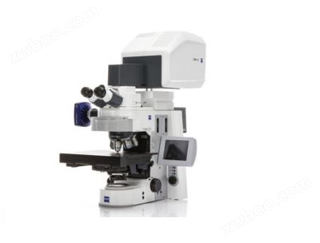 LSM800白光干涉共聚焦显微镜LSM800