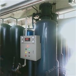 清远制氮机-瑞宇设备供应-空压PSA制氮机定制