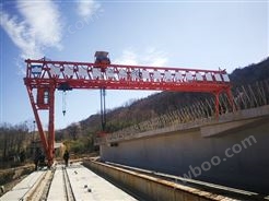 广东佛山50吨龙龙门吊租赁公司出售电动葫芦