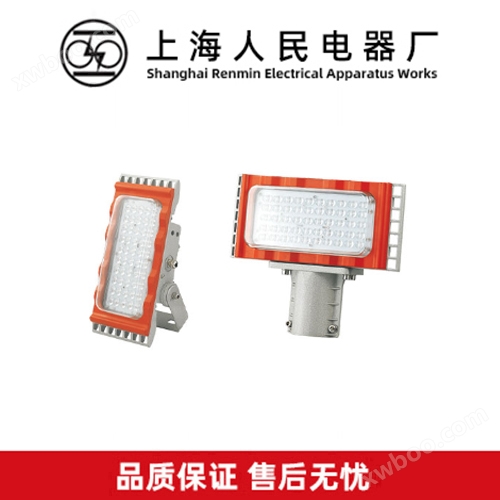 BZD188-02电镀厂LED防爆灯支架式马路式