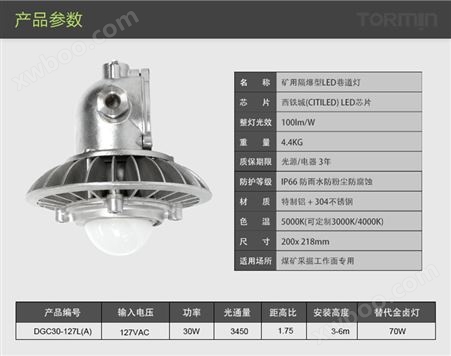 DGC30/127L(A)矿用隔爆型LED照明灯