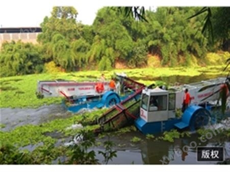 四川泸州水葫芦割草船真是牛