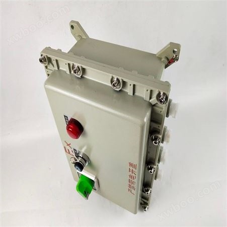 初途-辽阳合成塑料防爆配电箱定制BXMD52