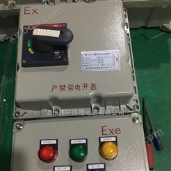 BXK小型三相电机防爆控制开关箱