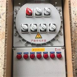 BXMD51-粉尘防爆配电箱 防爆消防应急照明用