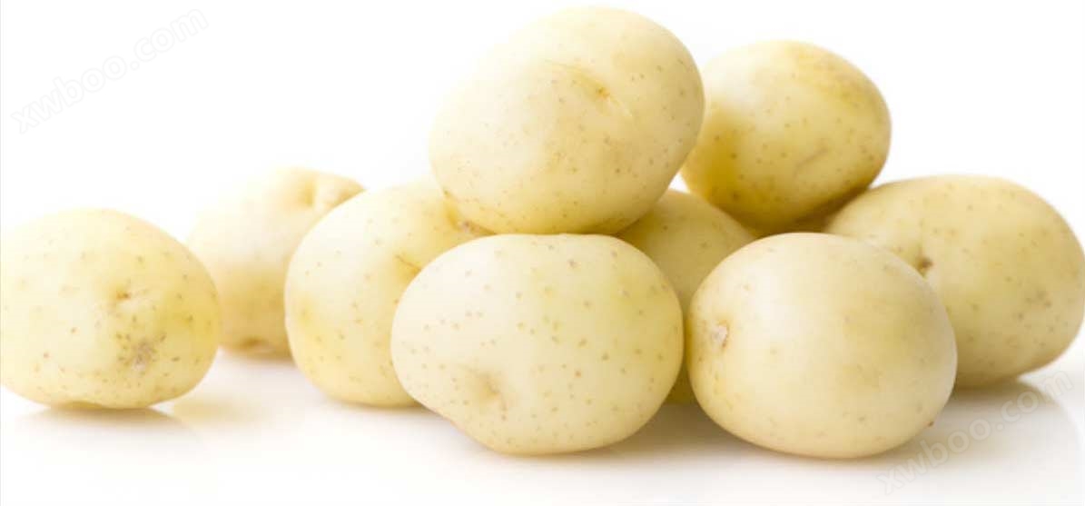 标准型马铃薯淀粉加工设备-马铃薯