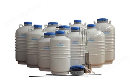YDS-13液氮罐-13升存储型液氮罐尺寸-多少钱