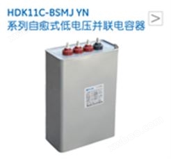 HDK11C-BSMJYN系列自愈式低电压并联电容器