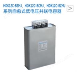 HDK12C-BSMJ、HDK12C-BCMJ、HDK12C-BZMJ系列自愈式低电压并联电容器