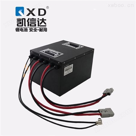 KXD-24V-100AH磷酸铁锂动力电池组