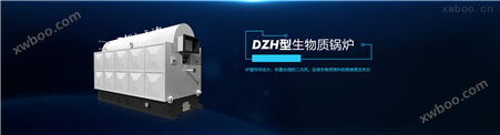 DZH型手烧生物质蒸汽锅炉