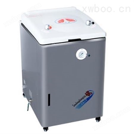 上海三申B型立式压力蒸汽灭菌器YM75B（科研自动控水型）