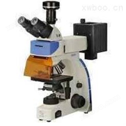 蛋白结晶观测观察显微镜