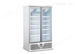 door freezer 双门冷冻