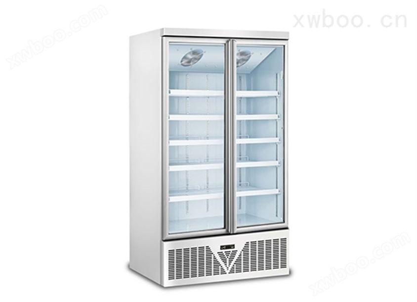 door freezer 双门冷冻