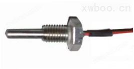 WZP021带保护管螺纹安装铂电阻