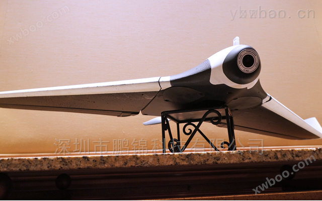 进口Disco-Pro AG固定翼农业航测无人机
