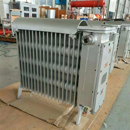RB-2000/127（A） 防爆电热取暖器干烧型