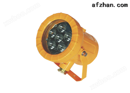 BSD51系列 防爆免维护高效节能LED视孔灯