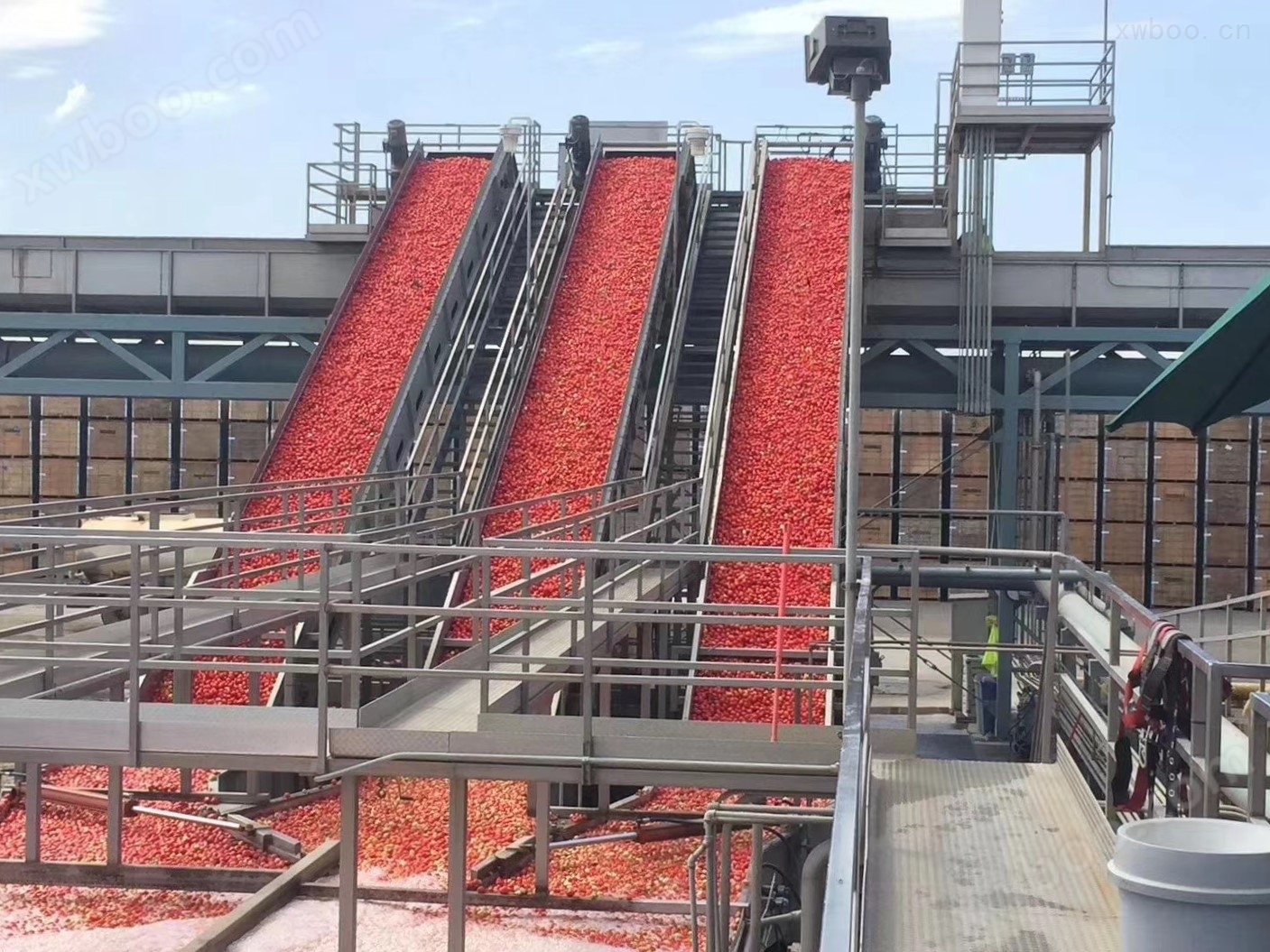 番茄加工生产线