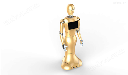 智能人形大金机器人