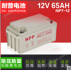 NPP 耐普蓄电池 NP12-65 太阳能免维护蓄电池 12V65