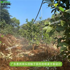 惠州聞頭壩柚子園噴灌水肥一體化預算多少錢 自動控制廣東施肥機